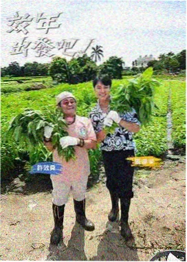 山野慢旅 旅行治愈综艺剧照